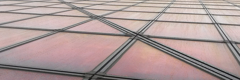 Quantum Lane Services